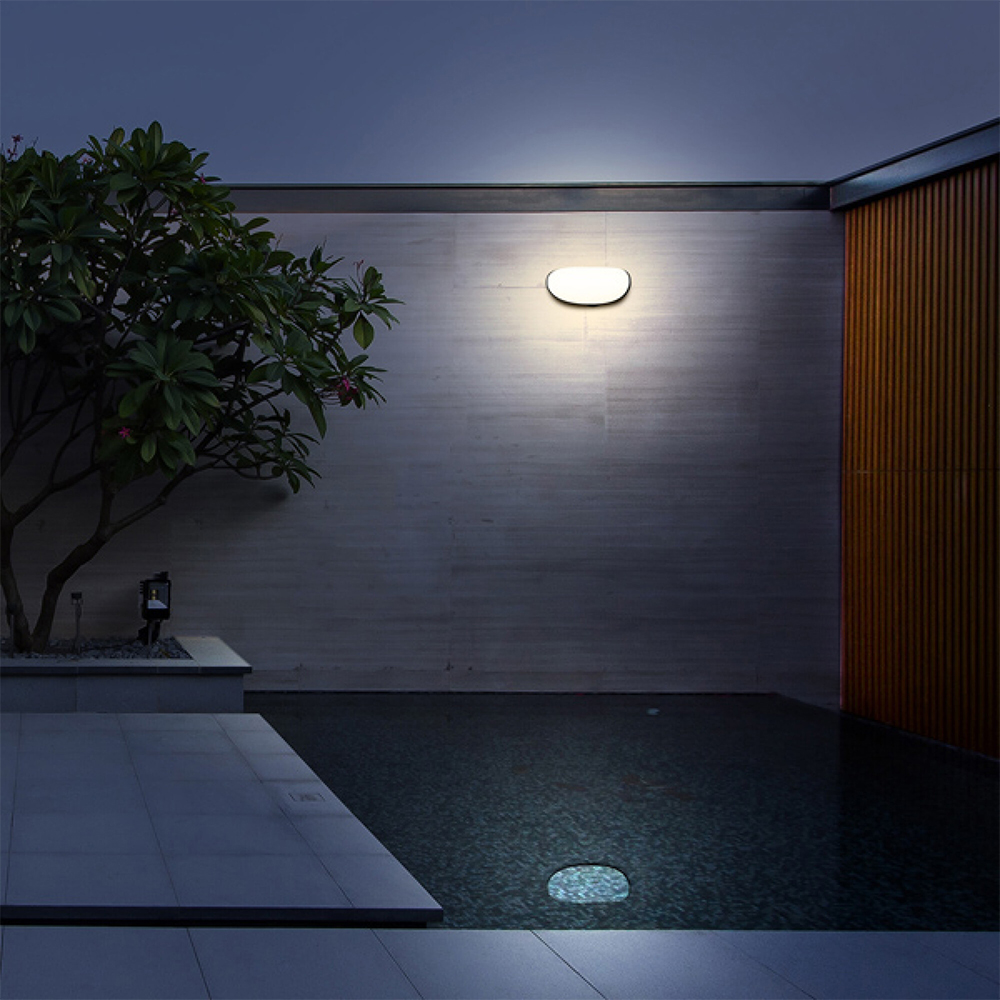 Tortuga LED