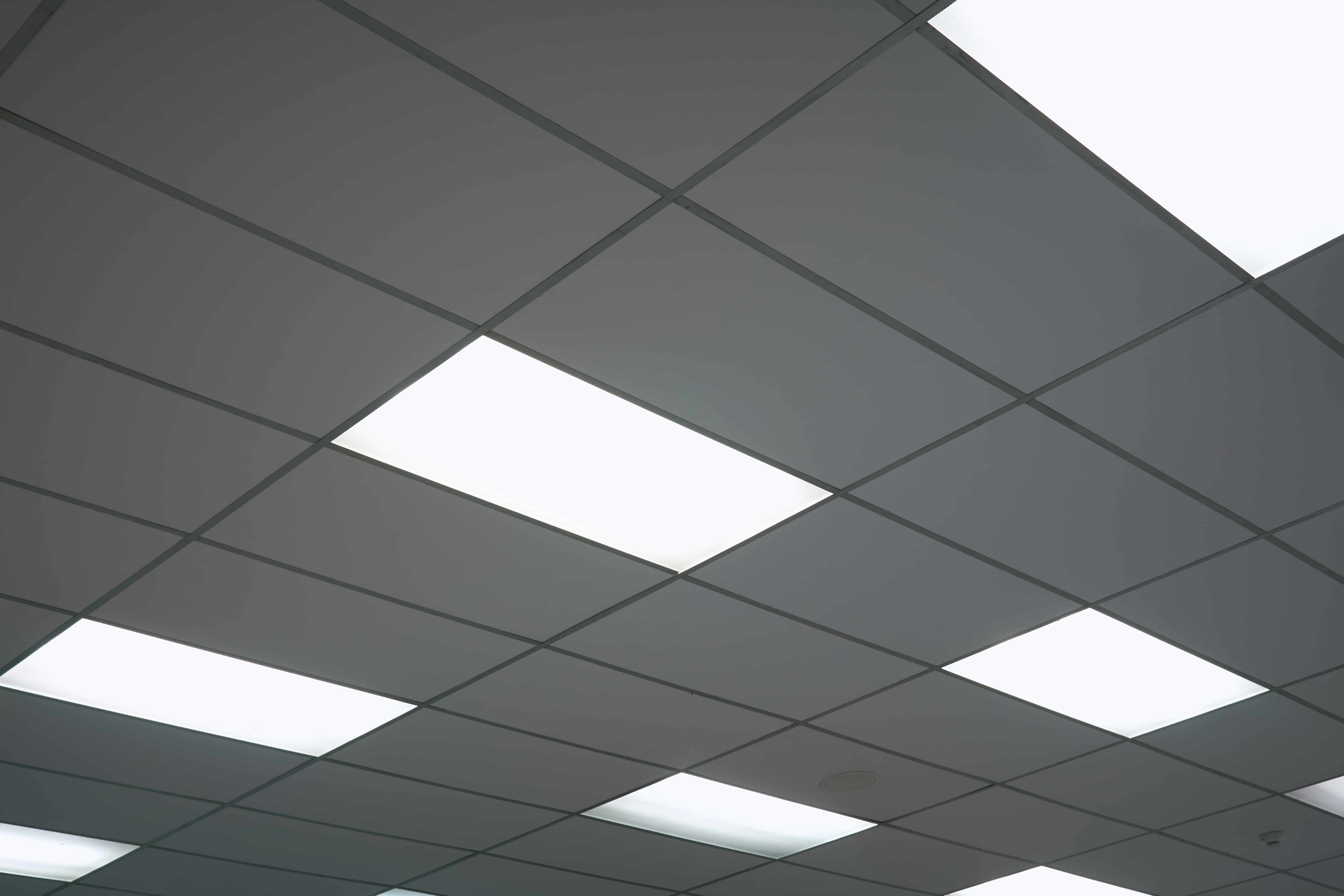 white-ceiling-with-neon-light-bulbs-uprisen-view.jpg