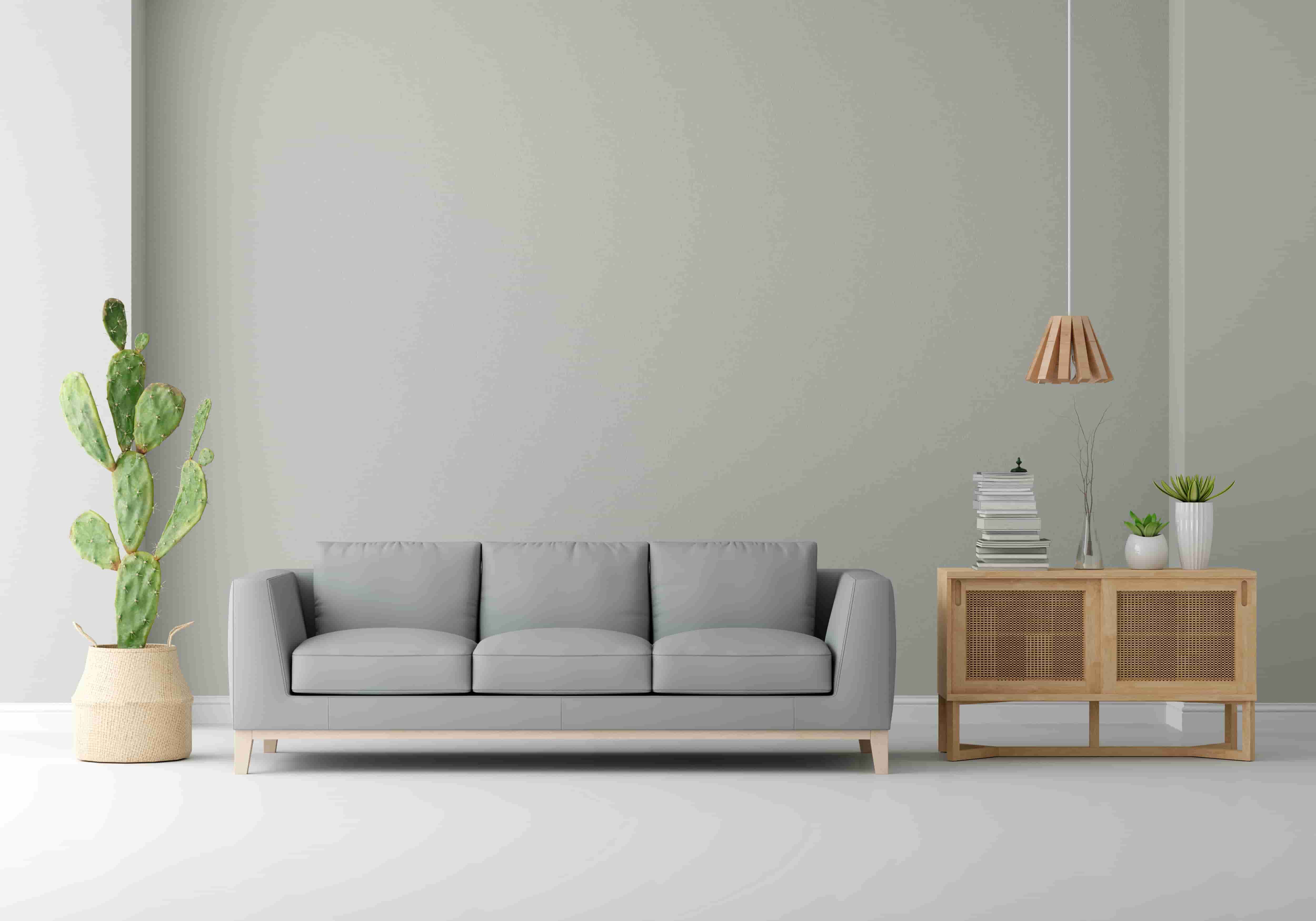 gray-sofa-living-room-with-free-space.jpg