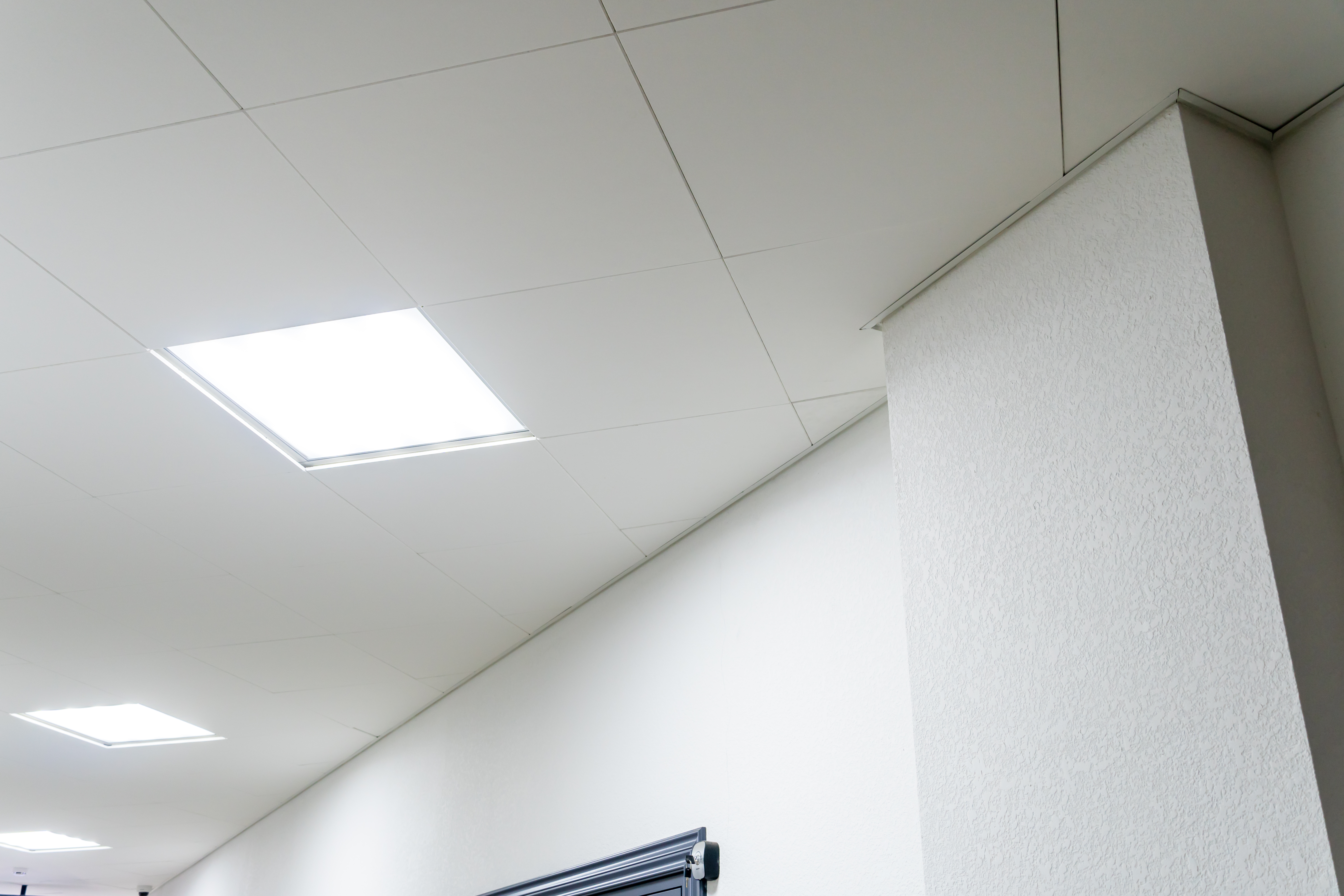  Mini Ivy LED