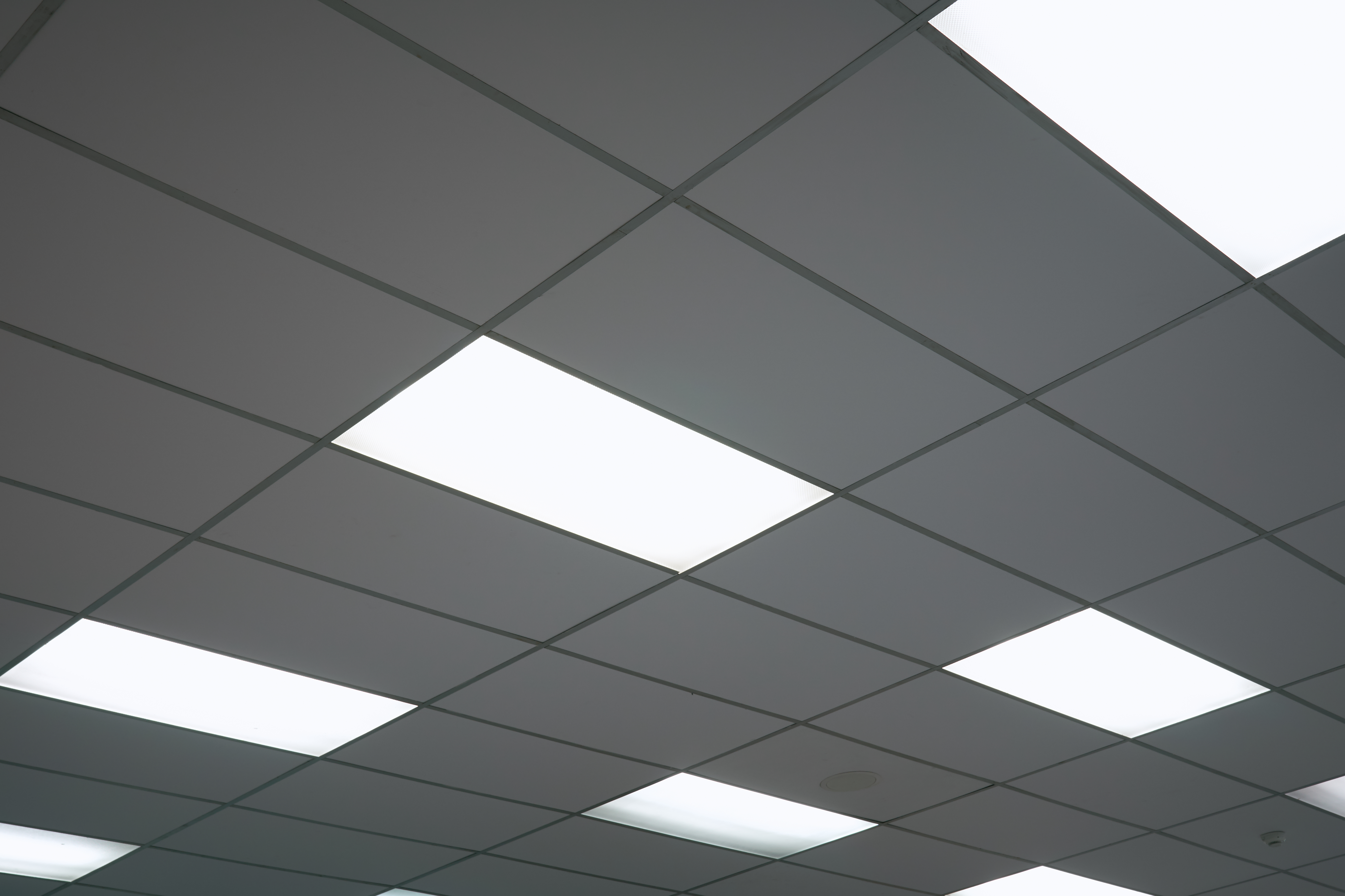 white-ceiling-with-neon-light-bulbs-uprisen-view.jpg (2)