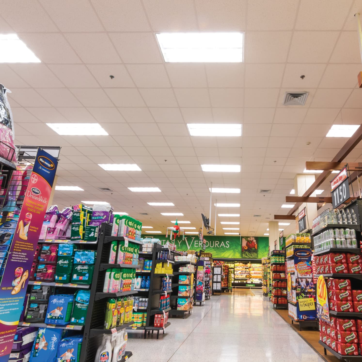 503 Plus Tubo LED