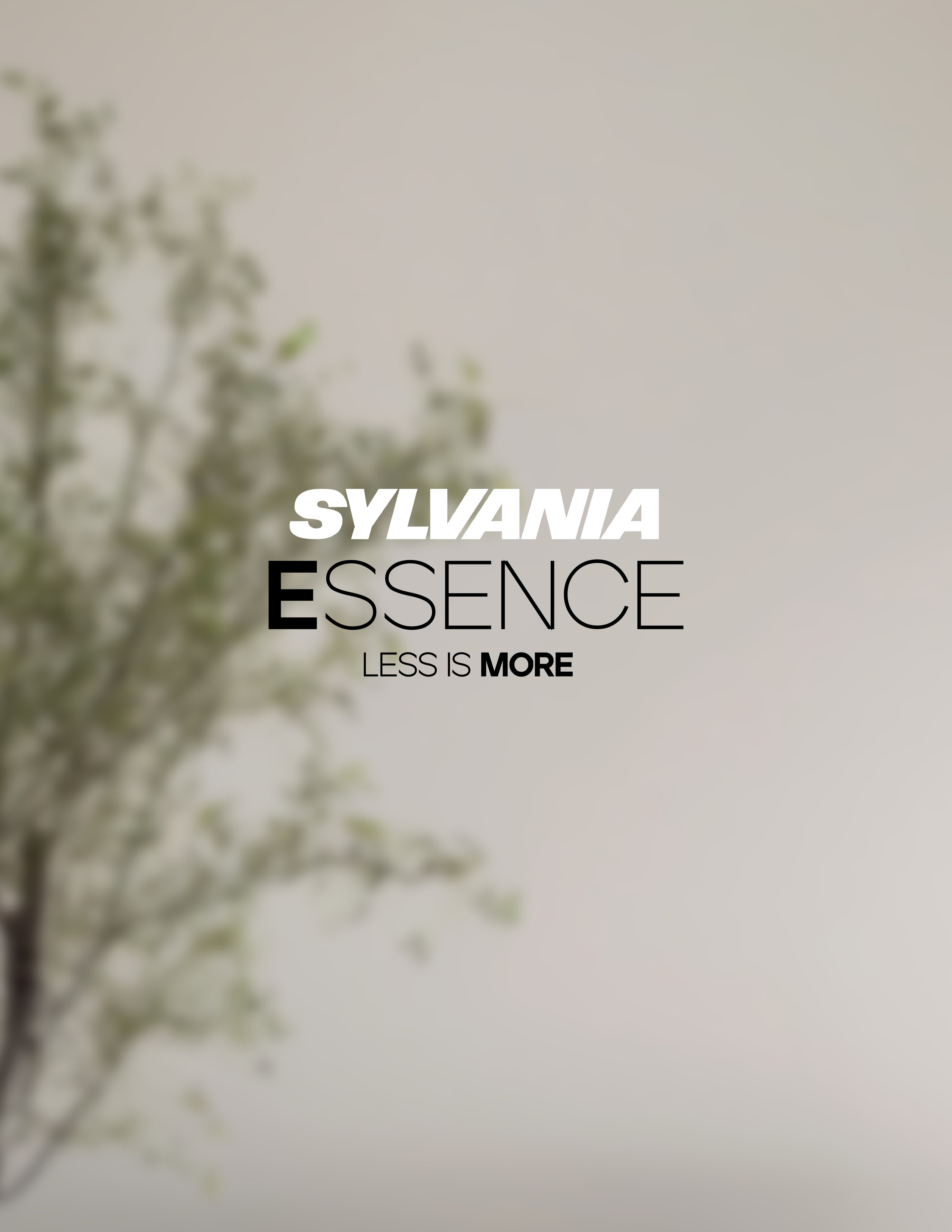 Catálogo Essence