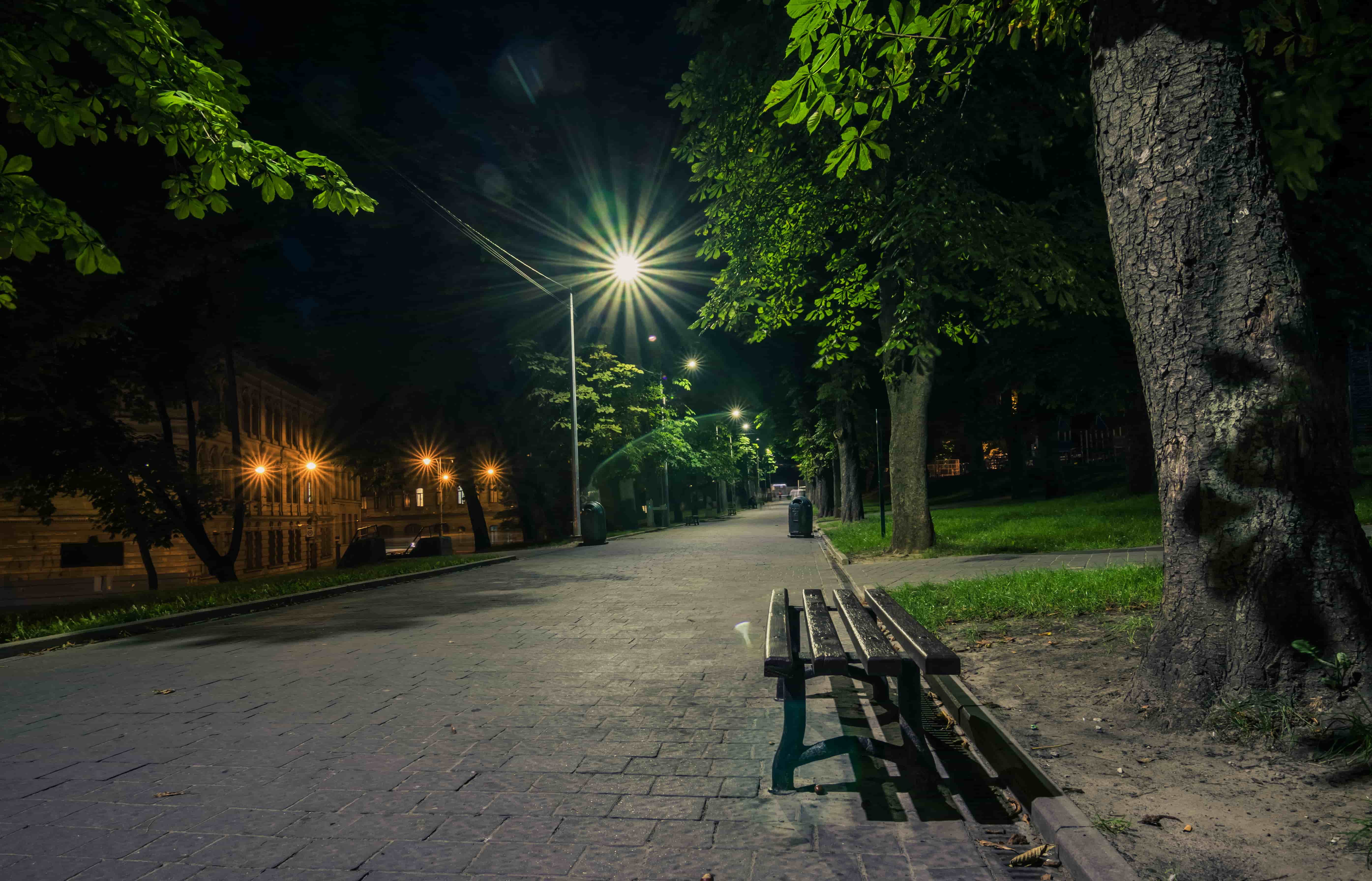 summer-night-city-park-wooden-benches-street-lights-green-trees-tiled-road-night-park.jpg
