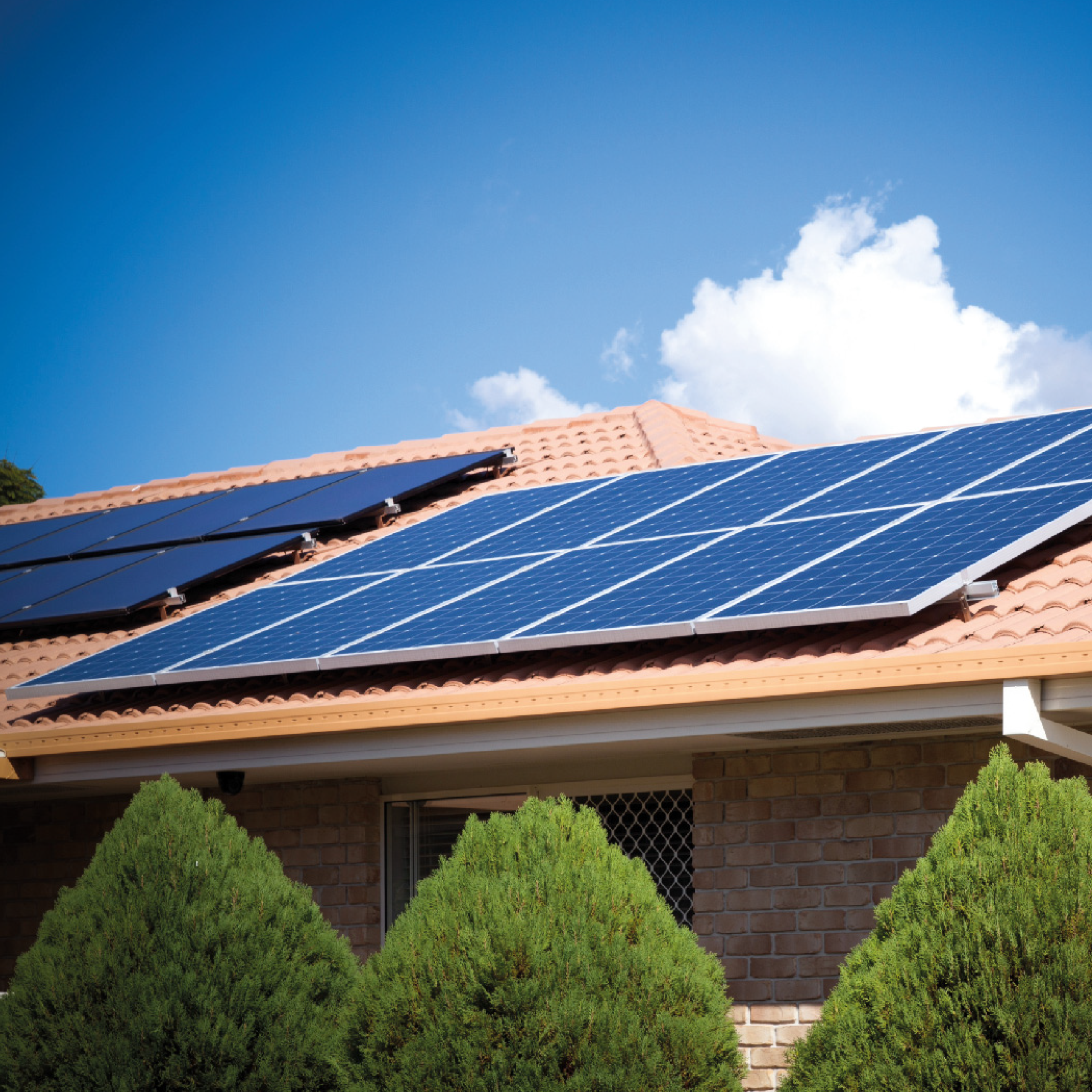 Paneles Solares TIER 1 Bifaciales